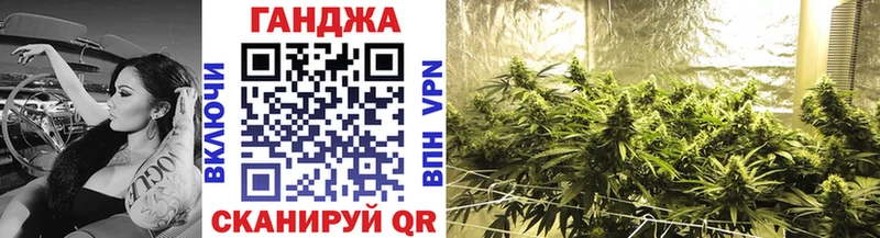 Конопля Amnesia  где найти   Заволжск 
